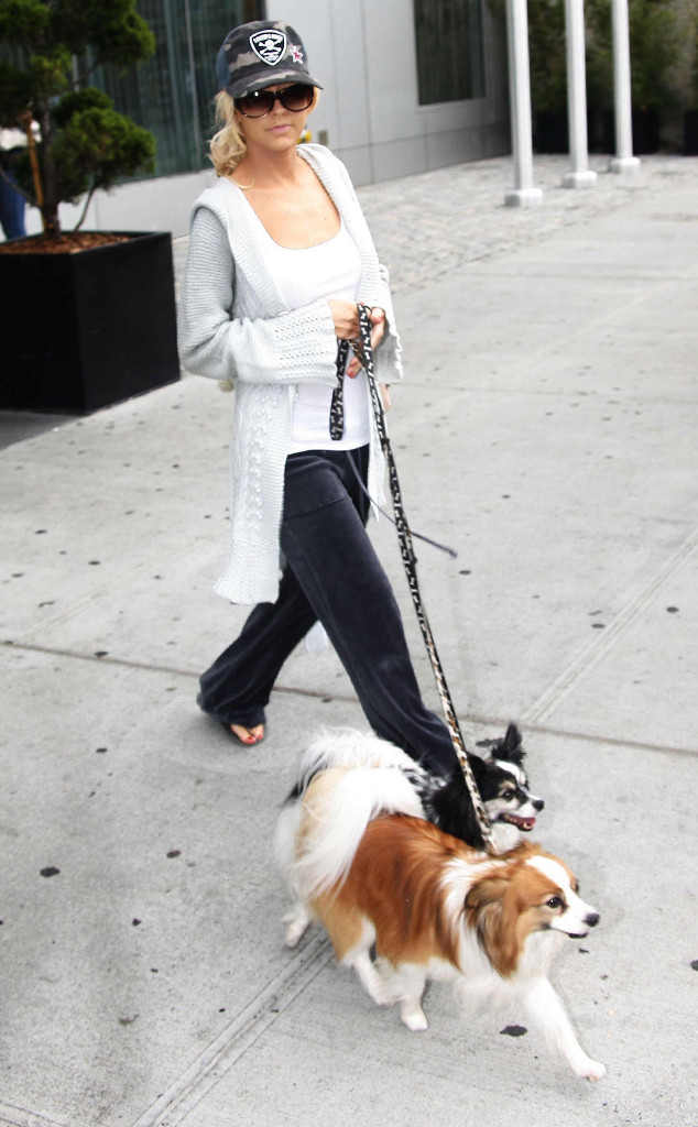 Christina Aguilera, Dogs Christina Aguilera, Dogs